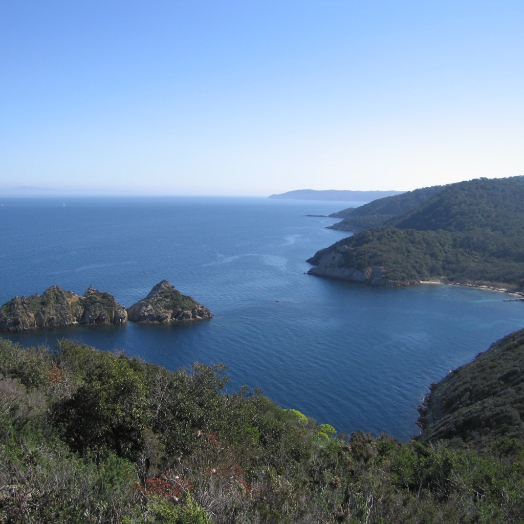 porquerolles port cros provence evasion porquerolles port cros provence evasion