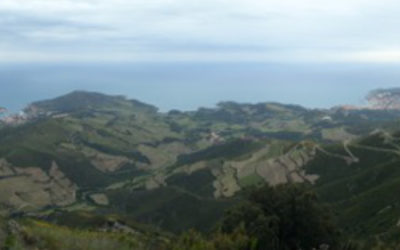 BANYULS & LA CÔTE VERMEILLE