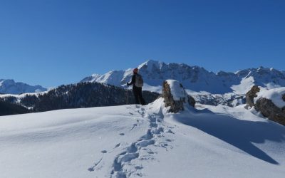 RAQUETTES DANS LE CHAMPSAUR