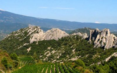 DENTELLES DE MONTMIRAIL