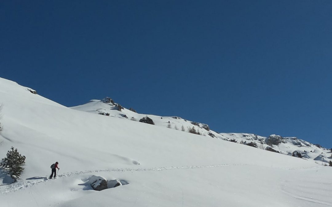 RAQUETTES DANS LE QUEYRAS