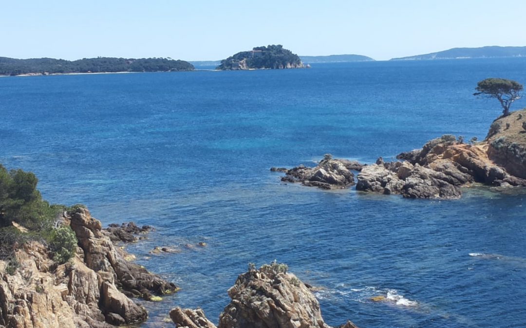 PRESQU’ÎLE DE SAINT TROPEZ