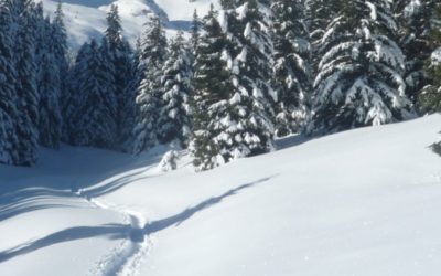 RAQUETTES À VALLOUISE