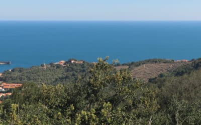 BANYULS & LA CÔTE VERMEILLE