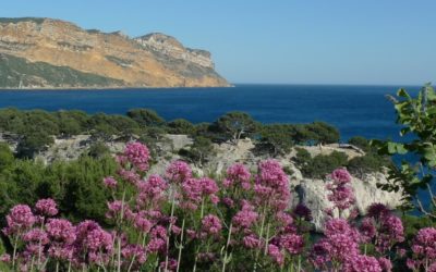 TRAVERSÉE DES CALANQUES