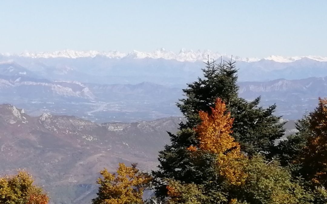 MONTAGNE DE LURE