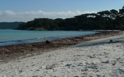 L’ÎLE DE PORQUEROLLES