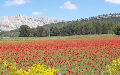 TRAVERSÉE DE SAINTE VICTOIRE